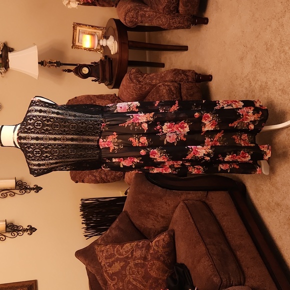 California Gypsy - Picture 3 of 6